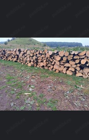 vand lemne de foc esență tare 