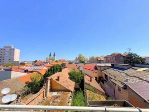 4 camere, suprafata generoasa, vedere panoramica spre raul Timis - imagine 15
