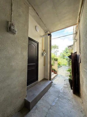 Apartament 1 camera, 20mp, parter - zona Elisabetin - imagine 9