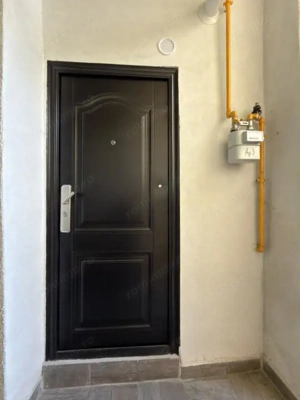 Apartament 1 camera, 20mp, parter - zona Elisabetin - imagine 7