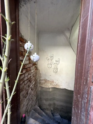 Apartament 1 camera, 20mp, parter - zona Elisabetin - imagine 10