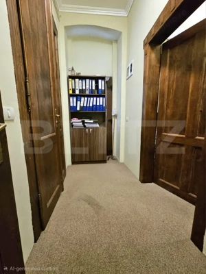 Apartament 160 mp, pretabil birouri sau alte activitati, zona Traian - imagine 11