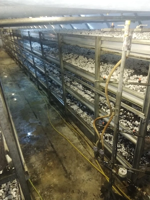 De vânzare Ciupercărie completă, Demontabilă, specializată pentru ciuperci Champignon  - imagine 7