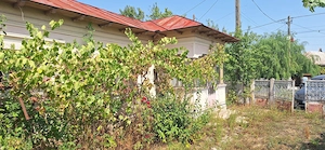 Vând casă bătrânească, sat Socetu, comuna Stejaru, Jud. Teleorman