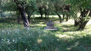 Casa taraneasca cu pamant - imagine 4
