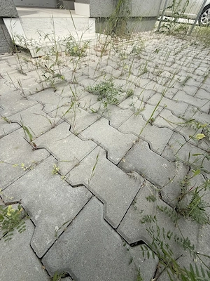 Apartament cu 2 cam decomandat GRĂDINĂ, terasă, mobilat Braytim hotel IQ - imagine 10