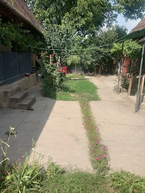 Casă la țară 