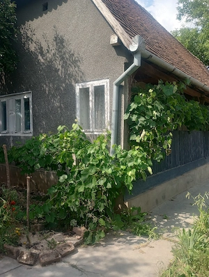 Casă la țară 