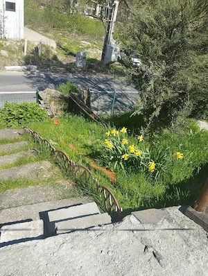 Ideal pentru investiție !!! De vanzare sau schimb - imagine 9