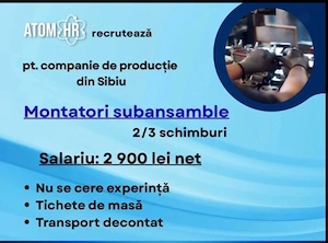 Angajam montatori subansamble pentru companii de productie din Sibiu
