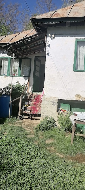 Teren si casa de vanzare in Provita de Sus - imagine 5