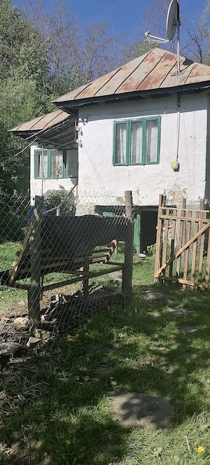 Teren si casa de vanzare in Provita de Sus - imagine 3