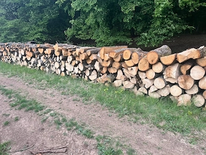 Vand lemne de foc  