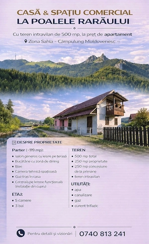 Casa si spatiu comercial