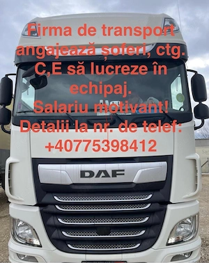 Angajări șoferi profestionisti