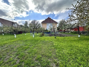 Vila Targu Neamt, Veniamin Costache, 642mp - imagine 6