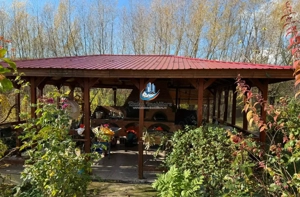 Casa 240 mp utili P+M, 9000 mp teren, Girov, Jud. Neamt - COMISION 0 la cumparat - imagine 12