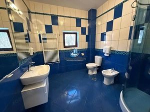 Casa 240 mp utili P+M, 9000 mp teren, Girov, Jud. Neamt - COMISION 0 la cumparat - imagine 3