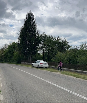 Teren si casa de vanzare