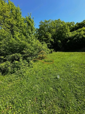 Teren intravilan de vanzare 1439 mp Luncani strada Slatinei - Bacau - imagine 9