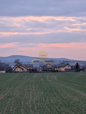 TEREN INTRAVILAN IN LILIECI, BACAU - imagine 5