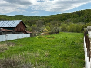 Teren intravilan de vanzare 2900 mp Luncani Bacau - imagine 4