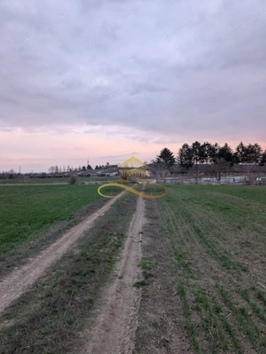 TEREN INTRAVILAN IN LILIECI, BACAU - imagine 6