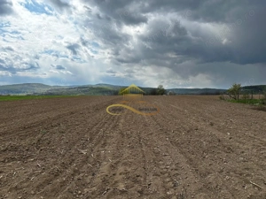 De vanzare doua loturi de teren in Fantanele-Bacau - imagine 8