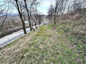 Teren de vanzare Blagesti Bacau - imagine 3