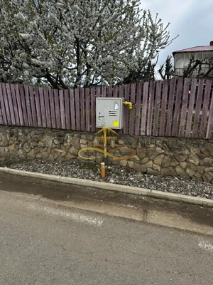 De vanzare doua loturi de teren in Fantanele-Bacau - imagine 10