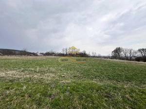 Teren de vanzare Blagesti Bacau - imagine 6