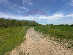 Teren 138.104 mp Dragomiresti-Vale, Ilfov, langa A0 - imagine 2
