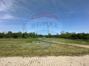 Teren 545,000mp Dragomiresti-Vale - imagine 5