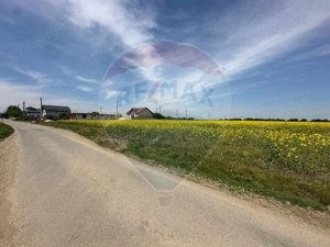 Teren 545,000mp Dragomiresti-Vale - imagine 13