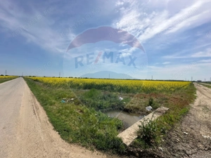Teren 545,000mp Dragomiresti-Vale - imagine 11