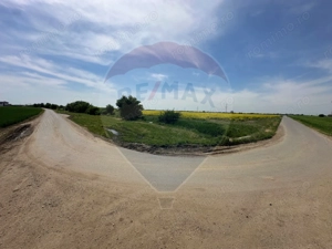 Teren 545,000mp Dragomiresti-Vale - imagine 14