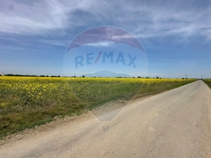Teren 545,000mp Dragomiresti-Vale - imagine 12