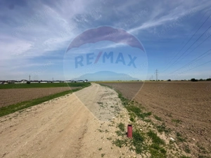 Teren 545,000mp Dragomiresti-Vale - imagine 8