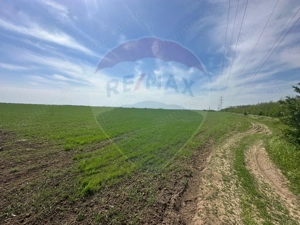Teren 138.104 mp Dragomiresti-Vale, Ilfov, langa A0 - imagine 6