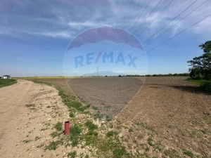 Teren 545,000mp Dragomiresti-Vale - imagine 7