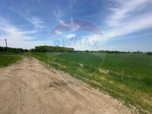 Teren 545,000mp Dragomiresti-Vale - imagine 18