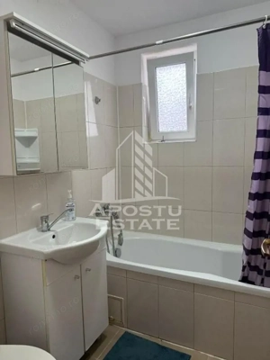 Apartament 2 camere de inchiriat, Take Ionescu, Timisoara - imagine 8