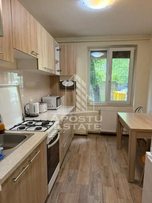 Apartament 2 camere de inchiriat, Take Ionescu, Timisoara - imagine 5