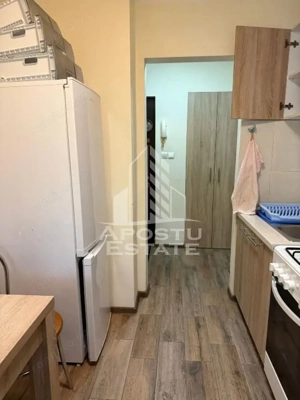 Apartament 2 camere de inchiriat, Take Ionescu, Timisoara - imagine 6