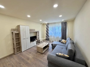 Apartament cu 2 camere, de inchiriat, petfriendly, Lipovei, Timisoara