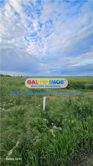 Teren Fundulea COD 251 - imagine 3