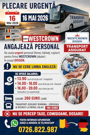 angajam dulgheri si muncitori necalificati