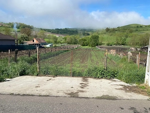 Vând teren în sat Șmig, com. Alma, Jud .Sibiu. 1625 mp. - imagine 8