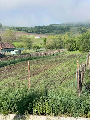 Vând teren în sat Șmig, com. Alma, Jud .Sibiu. 1625 mp. - imagine 5
