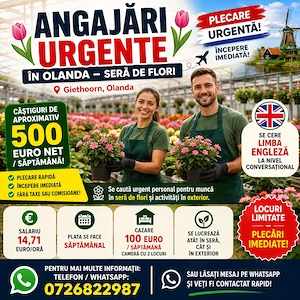angajare in OLANDA   sera de flori 